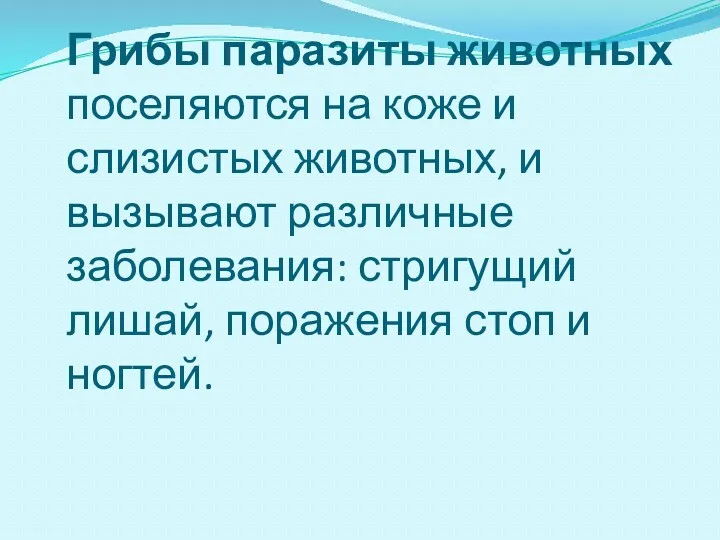 Грибы паразиты животных поселяются на коже и слизистых животных, и вызывают различные заболевания: