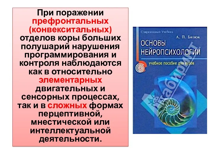 При поражении префронтальных (конвекситальных) отделов коры больших полушарий нарушения программирования