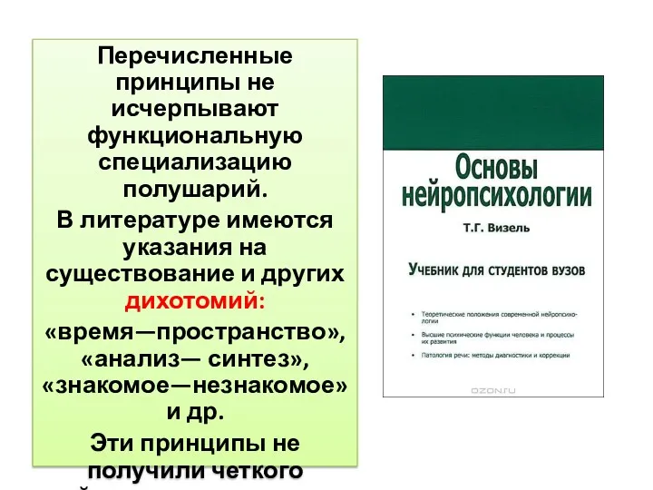 Перечисленные принципы не исчерпывают функциональную специализацию полушарий. В литературе имеются