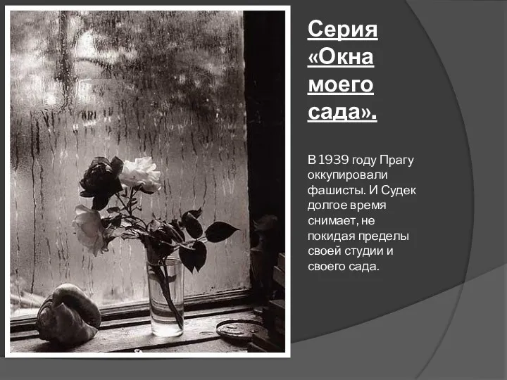 Серия «Окна моего сада». В 1939 году Прагу оккупировали фашисты.