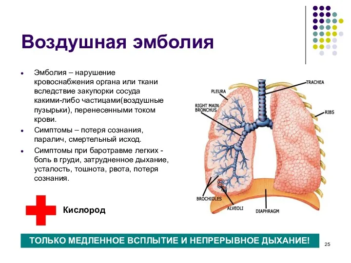 Воздушная эмболия Эмболия – нарушение кровоснабжения органа или ткани вследствие закупорки сосуда какими-либо