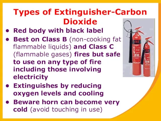 Types of Extinguisher-Carbon Dioxide Red body with black label Best