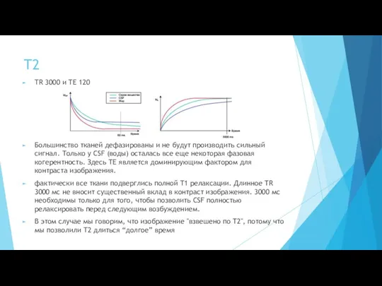 T2 TR 3000 и TE 120 Большинство тканей дефазированы и