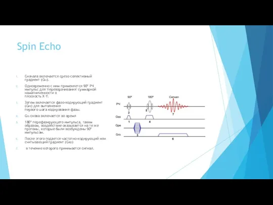 Spin Echo Сначала включается срезо-селективный градиент (GSS). Одновременно c ним