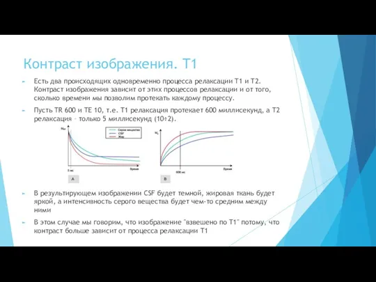 Контраст изображения. T1 Есть два происходящих одновременно процесса релаксации T1