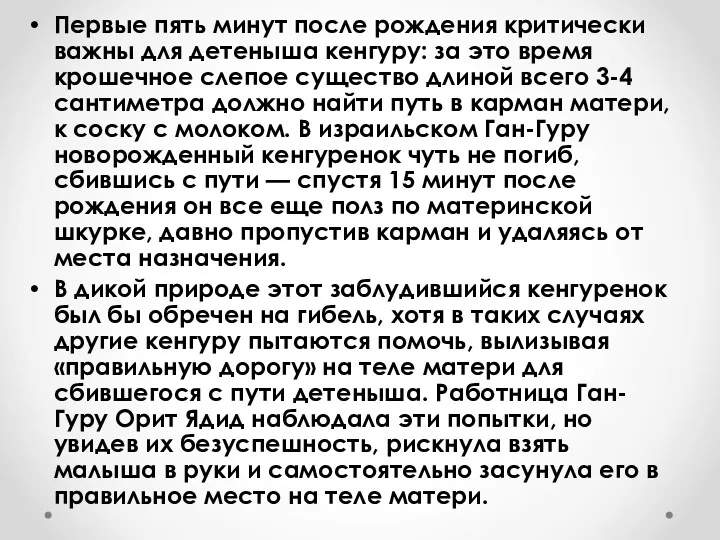 Первые пять минут после рождения критически важны для детеныша кенгуру: