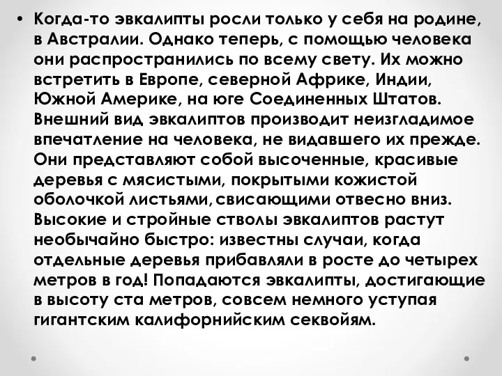 Когда-то эвкалипты росли только у себя на родине, в Австралии.