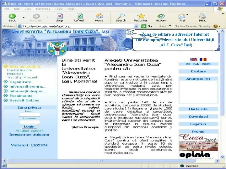 Zona de editare a adreselor Internet (de exemplu, adresa site-ului Universităţii „Al. I. Cuza” Iaşi)