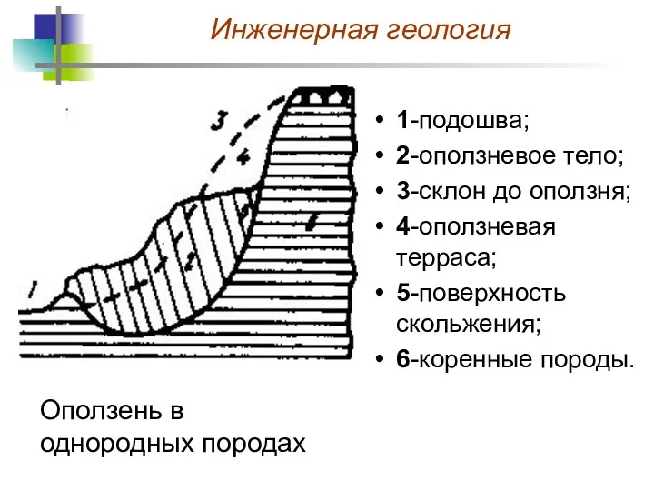 1-подошва; 2-оползневое тело; 3-склон до оползня; 4-оползневая терраса; 5-поверхность скольжения; 6-коренные породы. Оползень в однородных породах