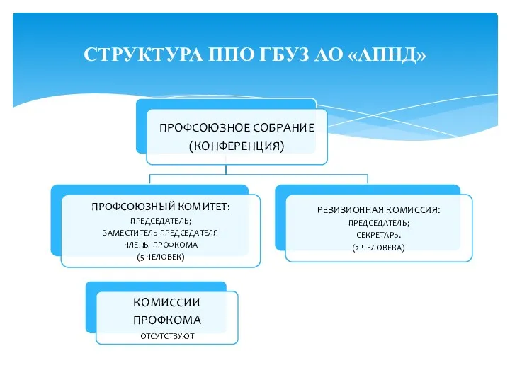 СТРУКТУРА ППО ГБУЗ АО «АПНД»