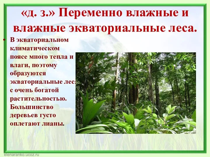 «д. з.» Переменно влажные и влажные экваториальные леса. В экваториальном