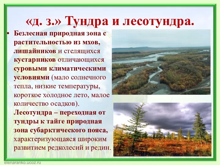 «д. з.» Тундра и лесотундра. Безлесная природная зона с растительностью