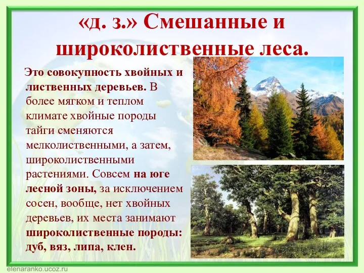 «д. з.» Смешанные и широколиственные леса. Это совокупность хвойных и