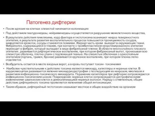 Патогенез дифтерии После адгезии на клетках слизистой начинается колонизация Под