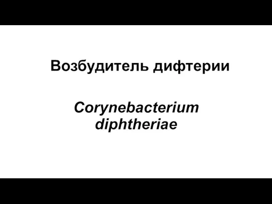 Возбудитель дифтерии Corynebacterium diphtheriae