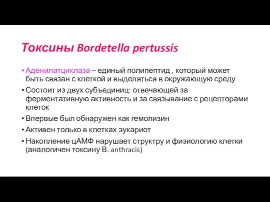 Токсины Bordetella pertussis Аденилатциклаза – единый полипептид , который может