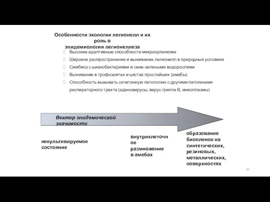 Особенности экологии легионелл и их роль в эпидемиологии легионеллеза Вектор