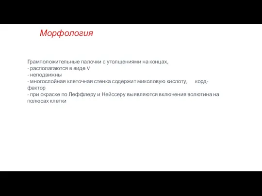 Морфология Грамположительные палочки с утолщениями на концах, - располагаются в