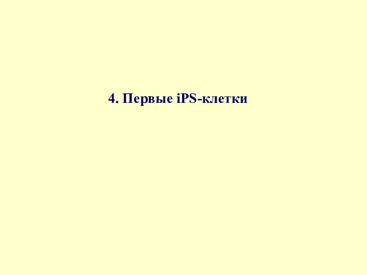 4. Первые iPS-клетки