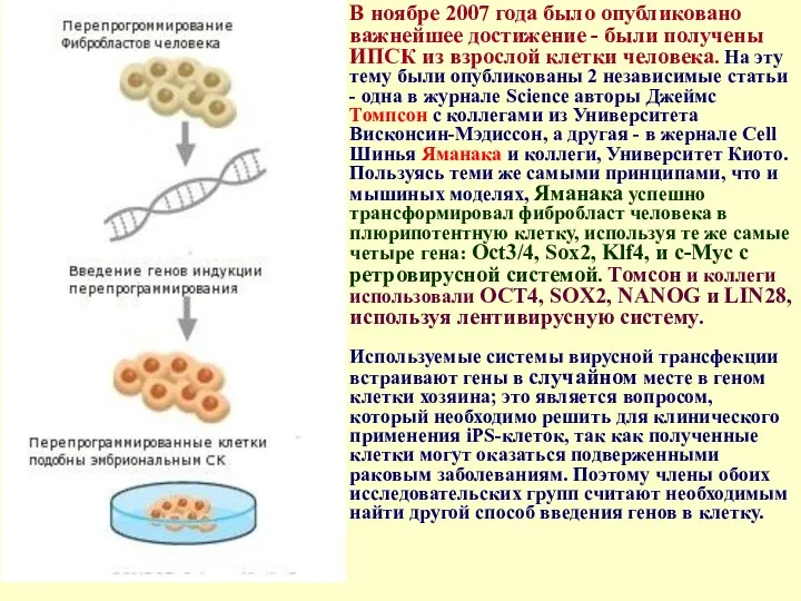 В ноябре 2007 года было опубликовано важнейшее достижение - были