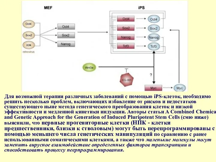 Для возможной терапии различных заболеваний с помощью iPS-клеток, необходимо решить несколько проблем, включающих