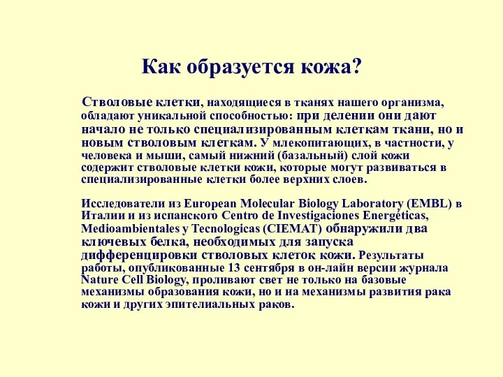 Как образуется кожа? Стволовые клетки, находящиеся в тканях нашего организма,