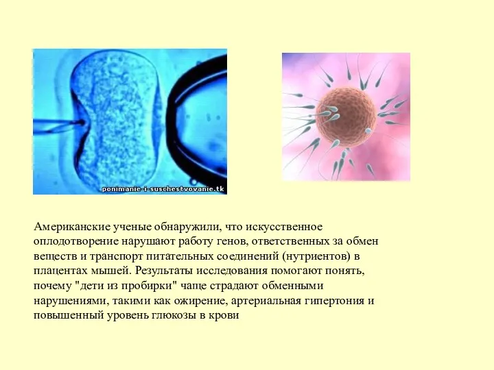 Американские ученые обнаружили, что искусственное оплодотворение нарушают работу генов, ответственных за обмен веществ