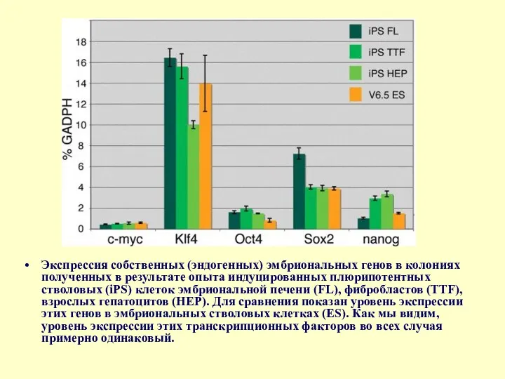 Экспрессия собственных (эндогенных) эмбриональных генов в колониях полученных в результате опыта индуцированных плюрипотентных