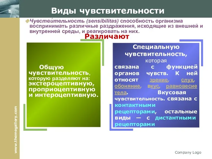 Company Logo Виды чувствительности Общую чувствительность, которую разделяют на: экстероцептивную,