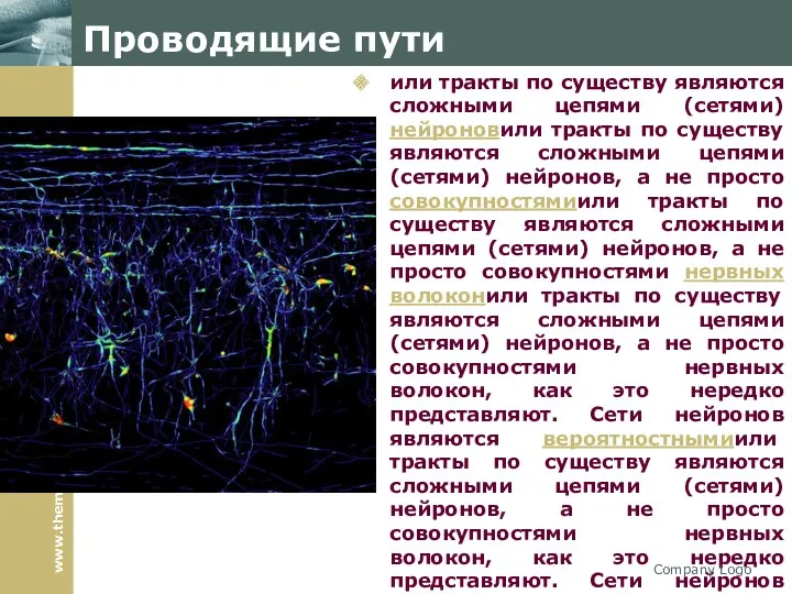 Проводящие пути или тракты по существу являются сложными цепями (сетями)