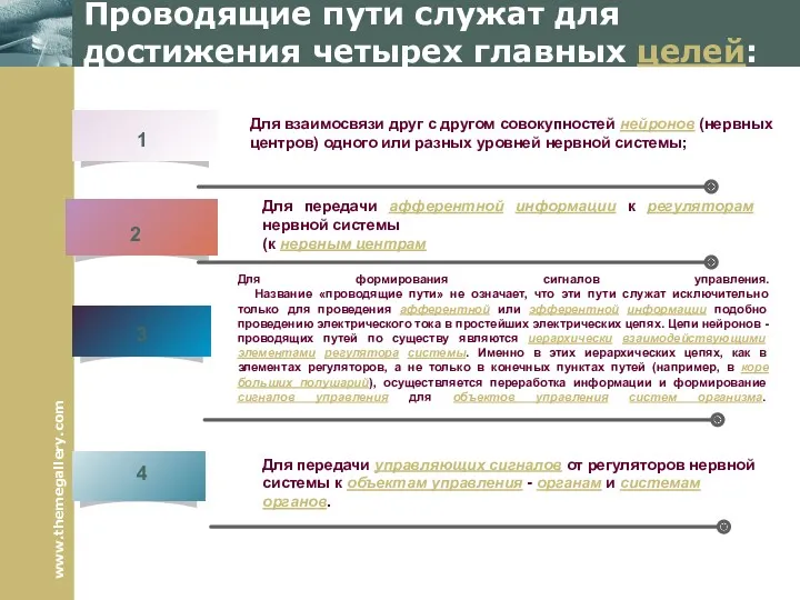 Проводящие пути служат для достижения четырех главных целей: Для взаимосвязи