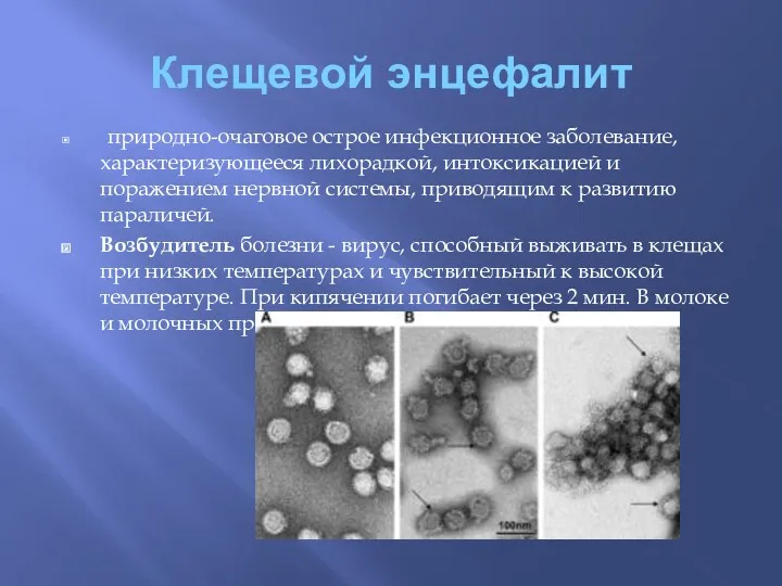 Клещевой энцефалит природно-очаговое острое инфекционное заболевание, характеризующееся лихорадкой, интоксикацией и