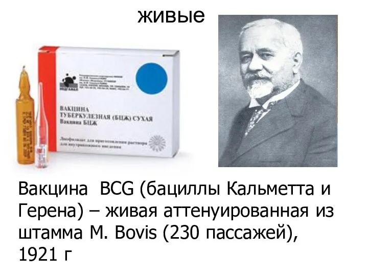 Вакцина ВCG (бациллы Кальметта и Герена) – живая аттенуированная из штамма M. Bovis