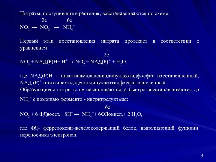 Нитраты, поступившие в растения, восстанавливаются по схеме: 2e 6e NO3-