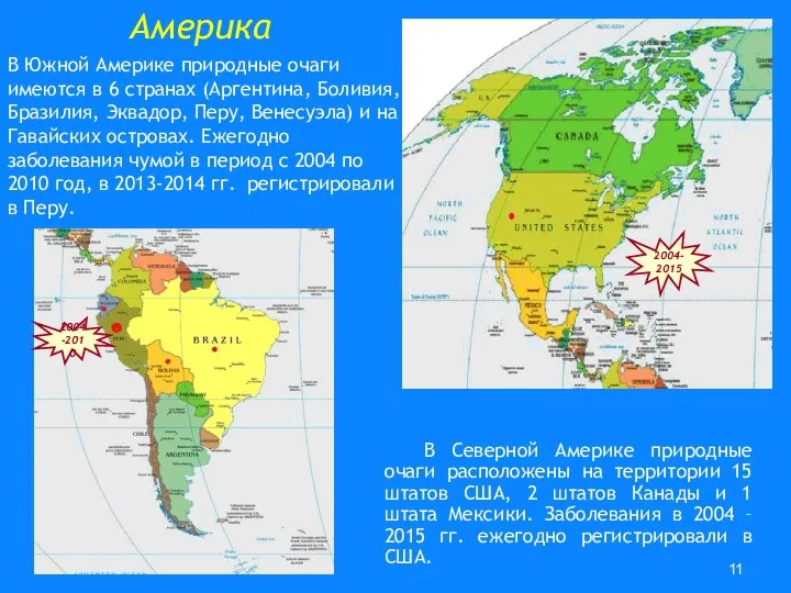 Америка В Северной Америке природные очаги расположены на территории 15