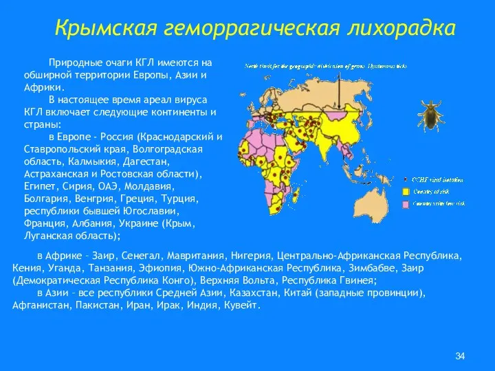 Крымская геморрагическая лихорадка Природные очаги КГЛ имеются на обширной территории