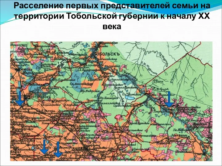 Расселение первых представителей семьи на территории Тобольской губернии к началу ХХ века