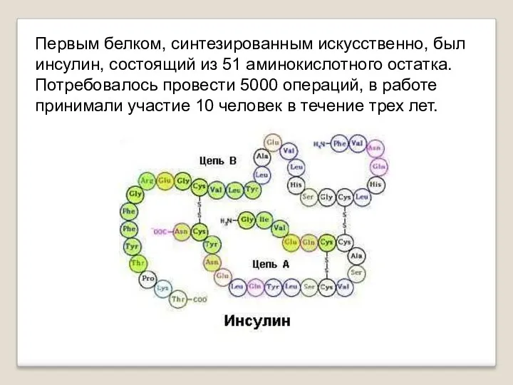 Первым белком, синтезированным искусственно, был инсулин, состоящий из 51 аминокислотного