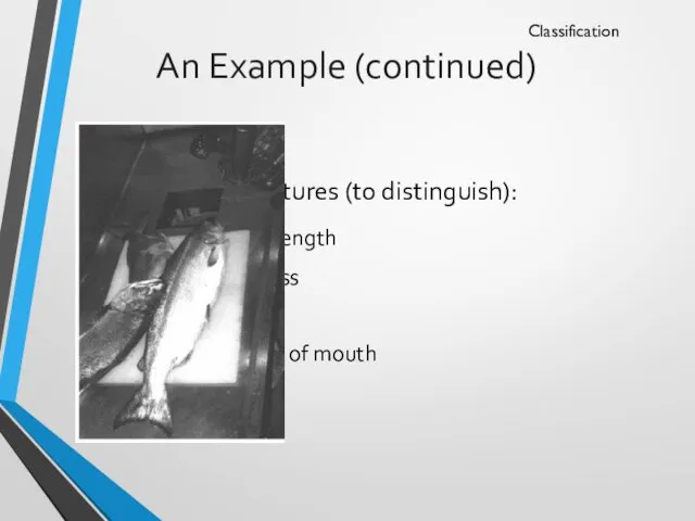 An Example (continued) Features (to distinguish): Length Lightness Width Position of mouth Classification