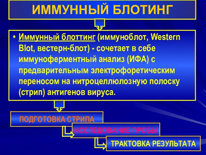 ИММУННЫЙ БЛОТИНГ Иммунный блоттинг (иммуноблот, Western Blot, вестерн-блот) - сочетает