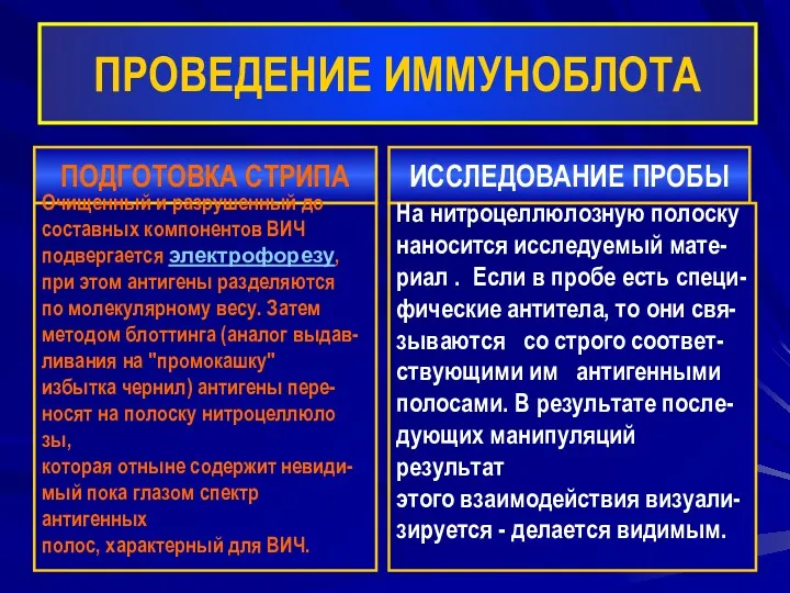 ПРОВЕДЕНИЕ ИММУНОБЛОТА ПОДГОТОВКА СТРИПА ИССЛЕДОВАНИЕ ПРОБЫ Очищенный и разрушенный до