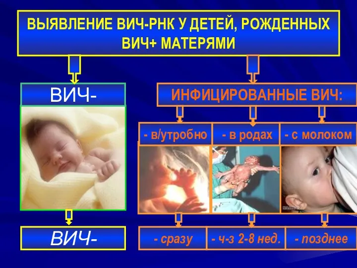 ВЫЯВЛЕНИЕ ВИЧ-РНК У ДЕТЕЙ, РОЖДЕННЫХ ВИЧ+ МАТЕРЯМИ ВИЧ- ИНФИЦИРОВАННЫЕ ВИЧ: