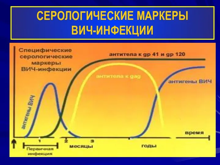 СЕРОЛОГИЧЕСКИЕ МАРКЕРЫ ВИЧ-ИНФЕКЦИИ