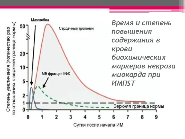Время и степень повышения содержания в крови биохимических маркеров некроза миокарда при ИМПST