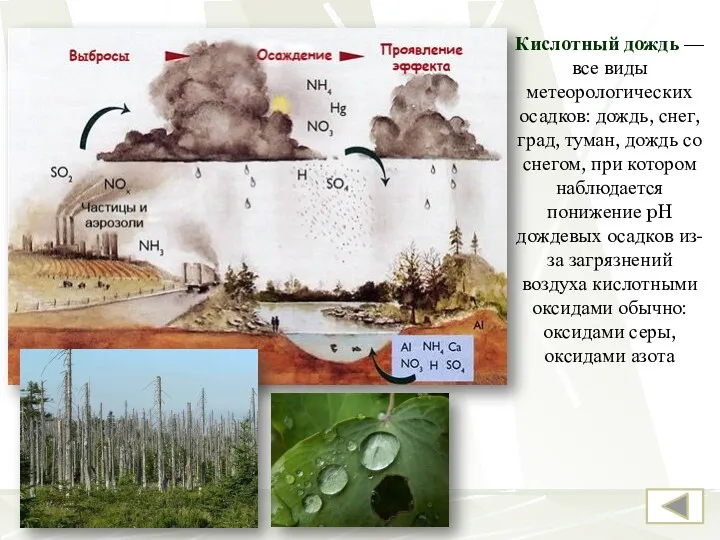 Кислотный дождь — все виды метеорологических осадков: дождь, снег, град,