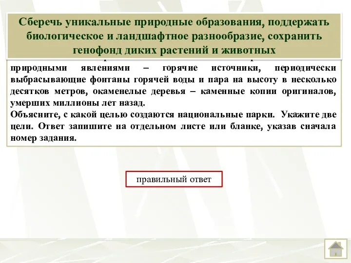 Национальный парк Йеллоустон, старейший национальный парк в мире, – настоящее