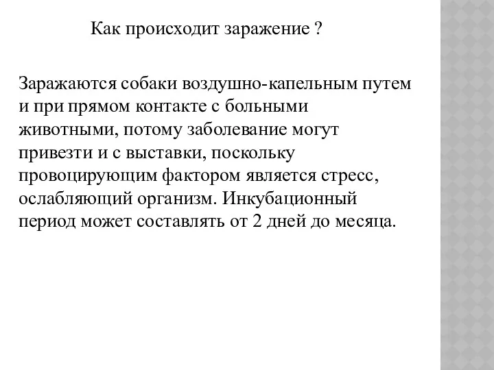 Как происходит заражение ? Заражаются собаки воздушно-капельным путем и при