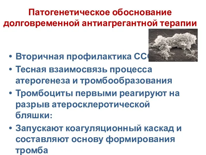 Патогенетическое обоснование долговременной антиагрегантной терапии Вторичная профилактика ССО Тесная взаимосвязь