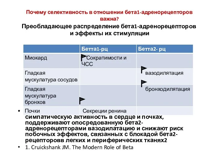 Почему селективность в отношении бета1-адренорецепторов важна? Преобладающее распределение бета1-адренорецепторов и