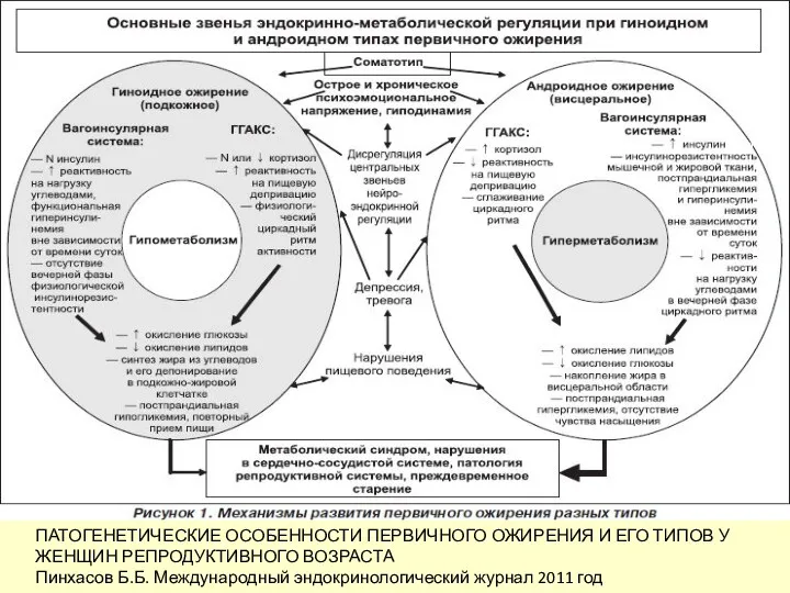 ПАТОГЕНЕТИЧЕСКИЕ ОСОБЕННОСТИ ПЕРВИЧНОГО ОЖИРЕНИЯ И ЕГО ТИПОВ У ЖЕНЩИН РЕПРОДУКТИВНОГО